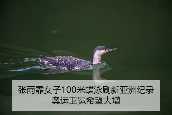 zhang-yu-fei-nv-zi-mi-die-yong-shua-xin-ya-zhou-ji-lu-ao-yun-wei-mian-xi-wang-da-zeng-2-531.jpg