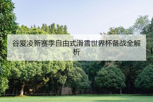 谷爱凌新赛季自由式滑雪世界杯备战全解析