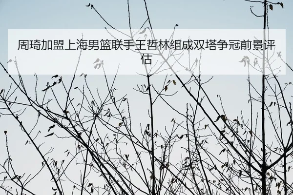 zhou-qi-jia-meng-shang-hai-nan-lan-lian-shou-wang-zhe-lin-zu-cheng-shuang-ta-zheng-guan-qian-jing-ping-gu-2-595.jpg