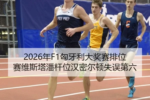 nian-xiong-ya-li-da-jiang-sai-pai-wei-sai-wei-si-ta-pan-gan-wei-han-mi-er-dun-shi-wu-di-liu-2-744.jpg